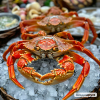 Крабы: живые и мороженые